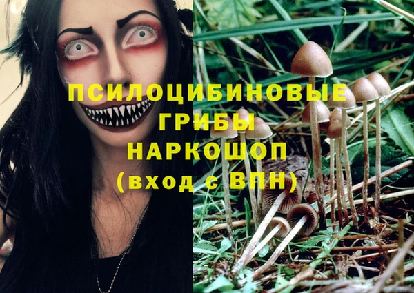 ПСИЛОЦИБИНОВЫЕ ГРИБЫ Арсеньев