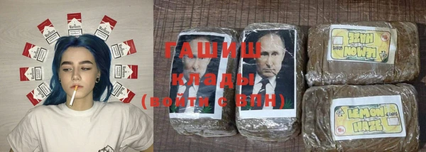ПСИЛОЦИБИНОВЫЕ ГРИБЫ Арсеньев