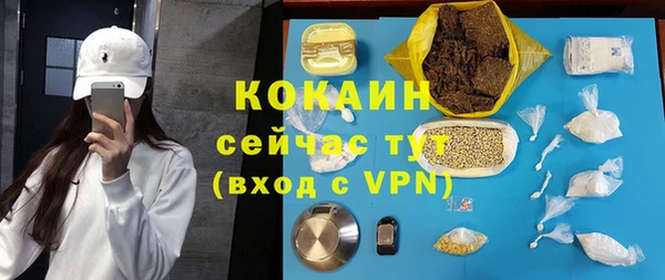 ПСИЛОЦИБИНОВЫЕ ГРИБЫ Арсеньев