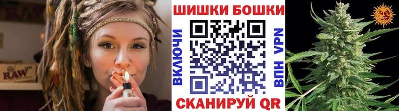 Канабис конопля  Нея 